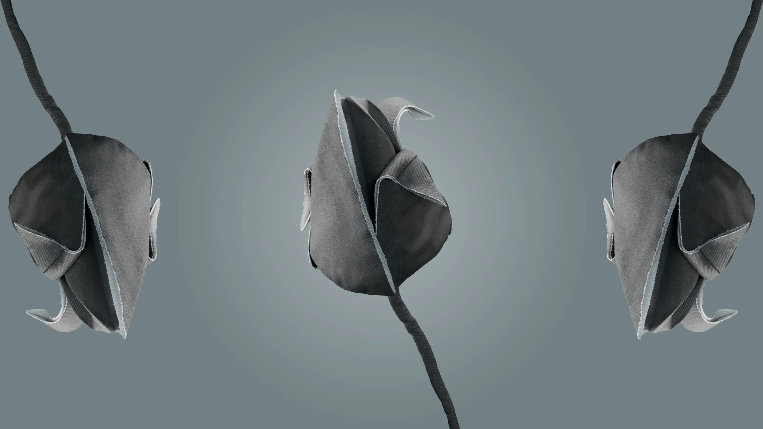 SLT Tulip